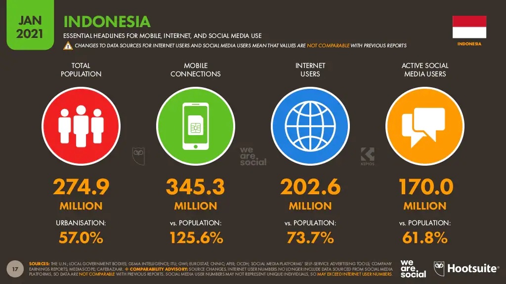 Social Media Users in Indonesia